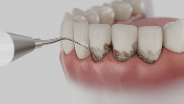 Reliable Dental contractor in Scott City, KS by Dentist Open Now